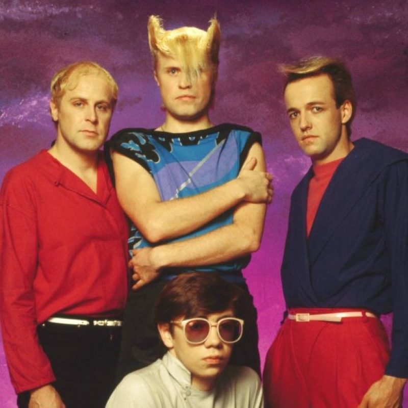 A Flock Of Seagulls Image