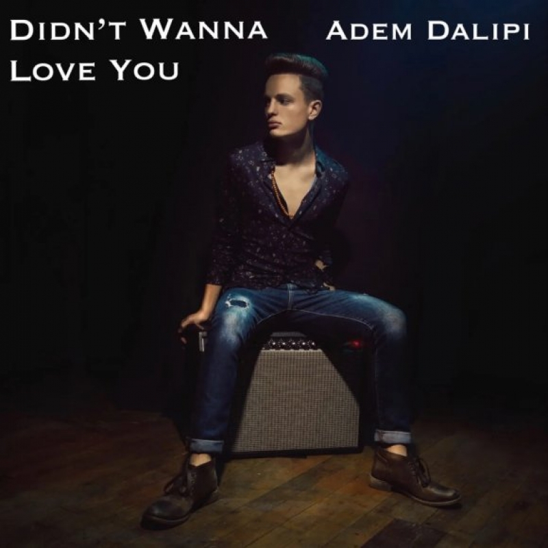 Adem - Didn't Wanna You