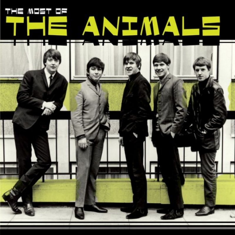 Animals Image