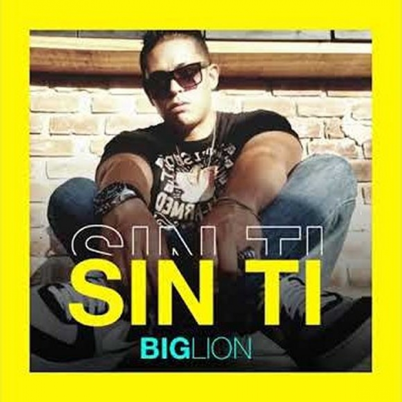 Big Lion Image