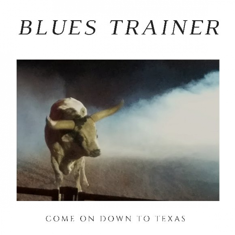 Blues Trainer - Fade Away (Clean Version)