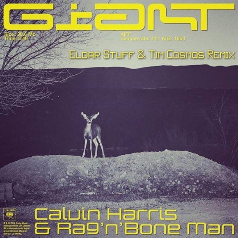 Calvin Harris & Rag'n'Bone Man Image