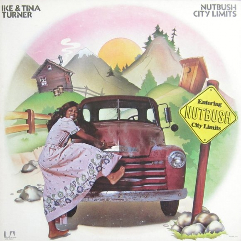 Ike & Tina Turner - Nutbush City Limits