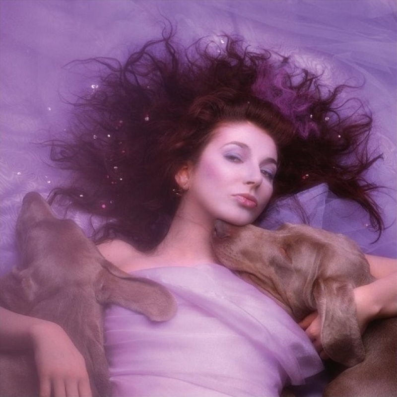 Kate Bush Image
