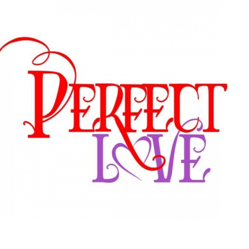 Preech Excel - Perfect Love